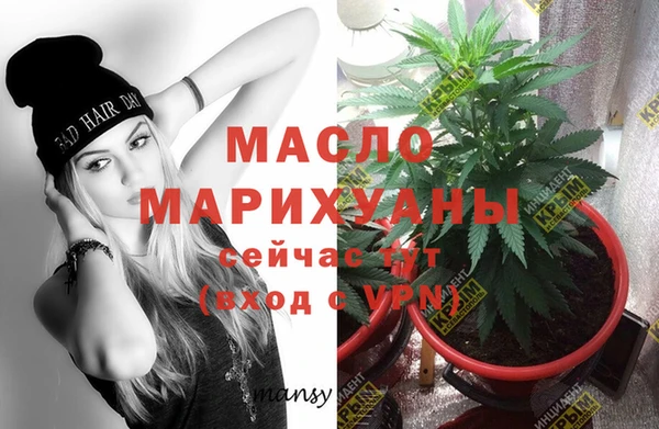 шишки Инсар