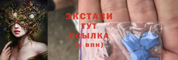 шишки Инсар