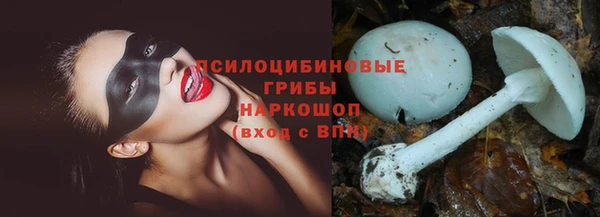 шишки Инсар