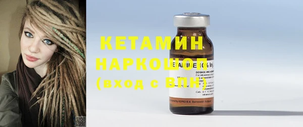шишки Инсар