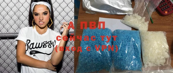 шишки Инсар