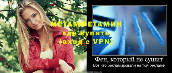 шишки Инсар