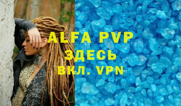шишки Инсар