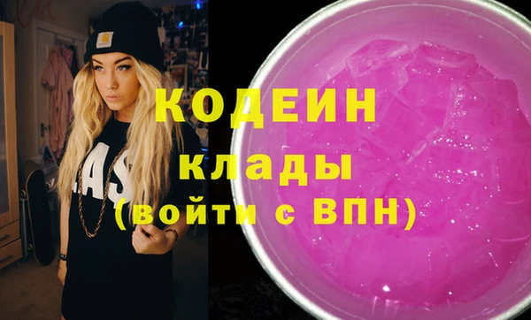 шишки Инсар