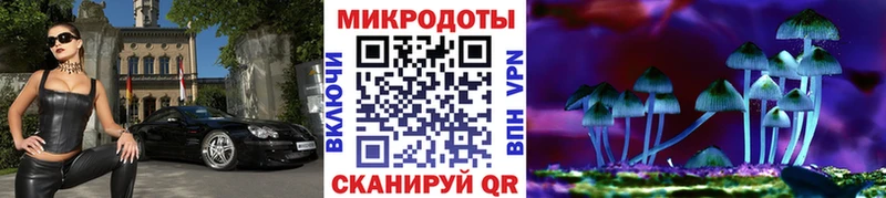 Купить Болотное Галлюциногенные грибы Cubensis