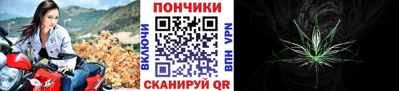 Шишки марихуана планчик  Купить где  Болотное 